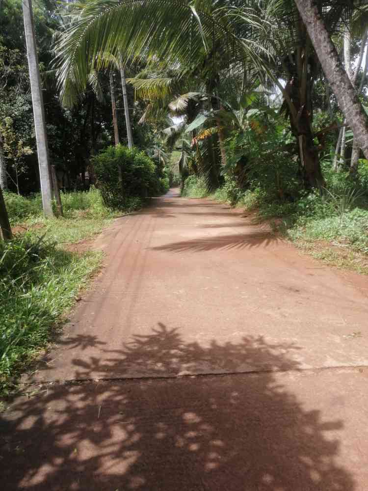 Land for sale in batapotha gampaha