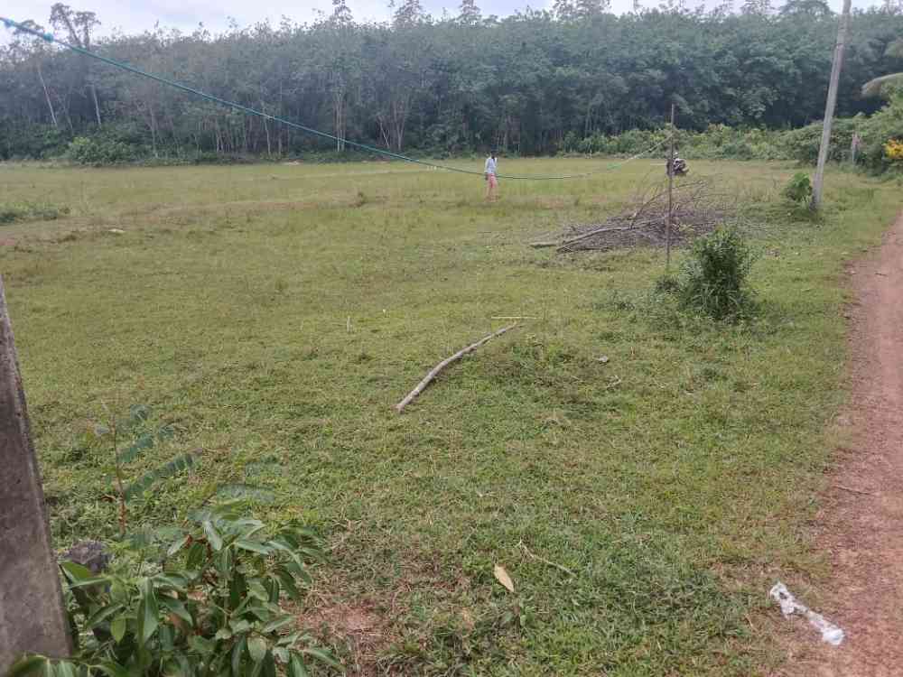 Land for sale urgent