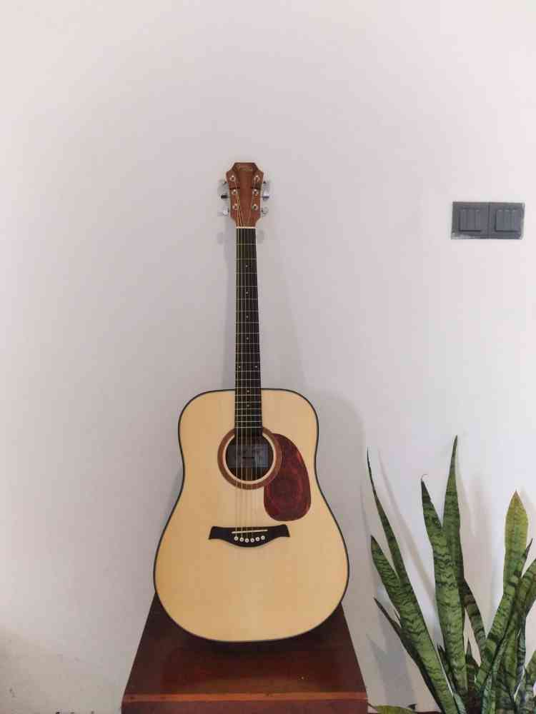 Gopher good g-100 NA acoustic guitar