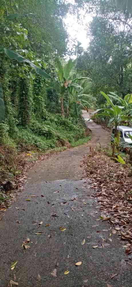 Land for sale in ruwanwella