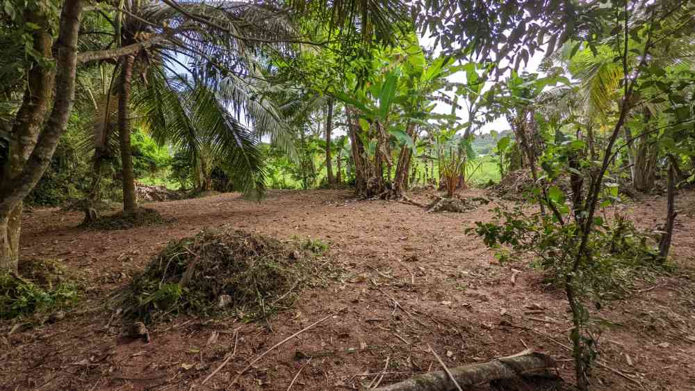 Land for sale in minuwangoda