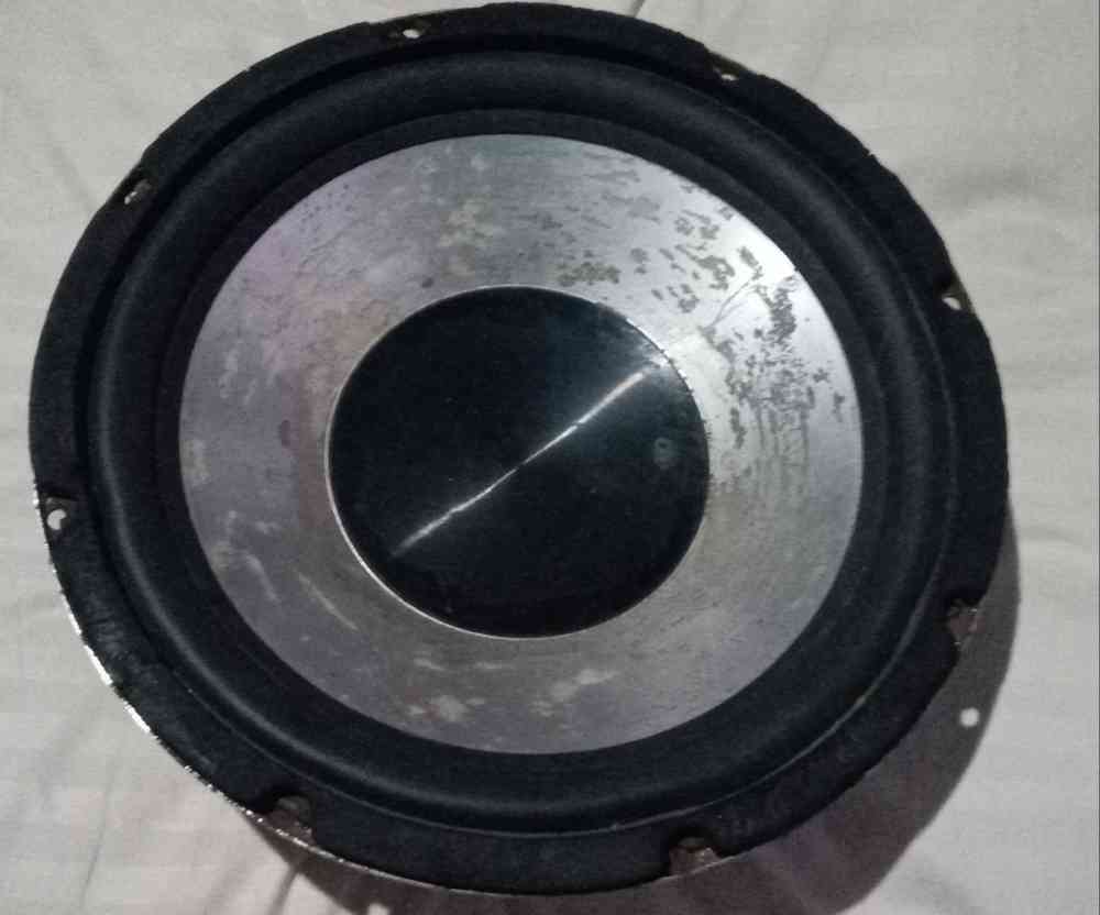 Speaker 10"