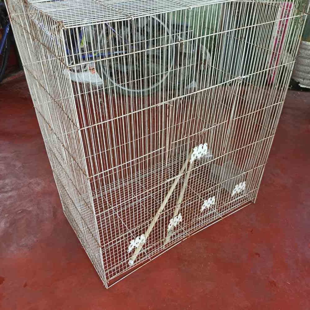 Used bird cage