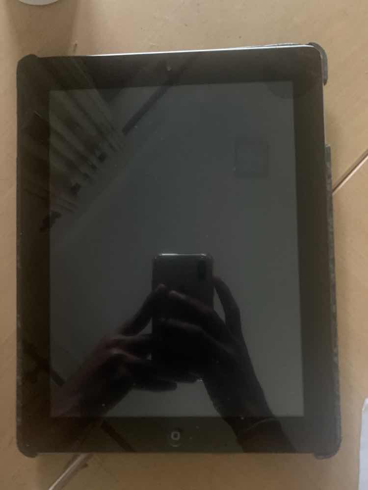 iPad mini 2