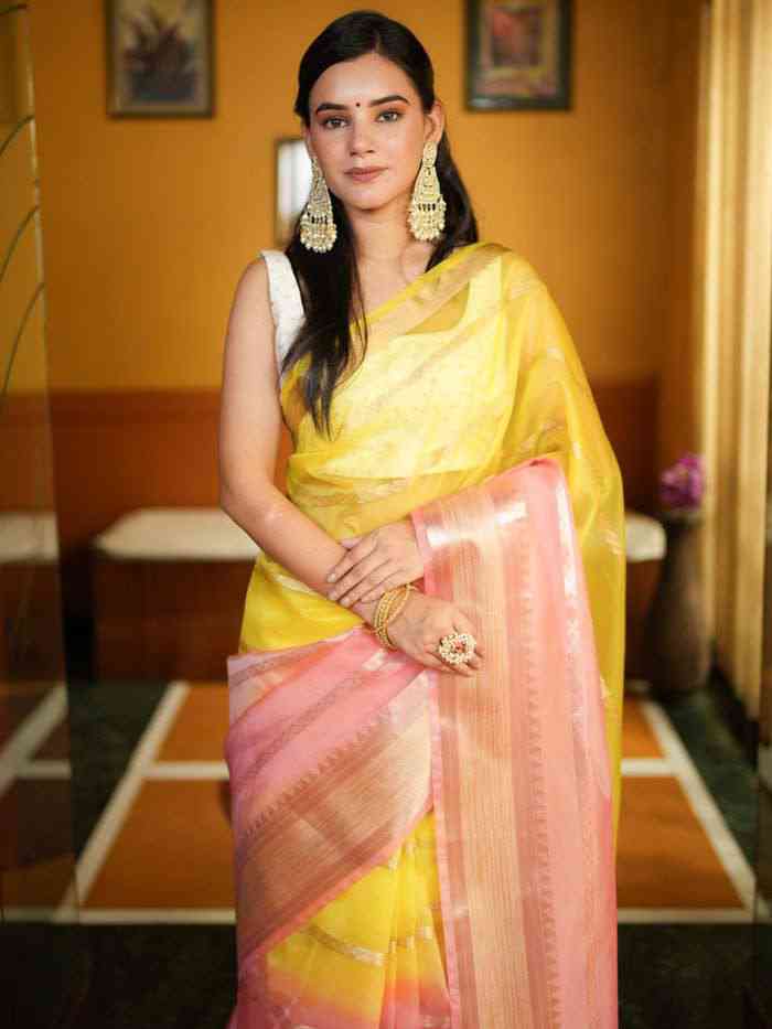 Chiffon georgette saree on pre order
