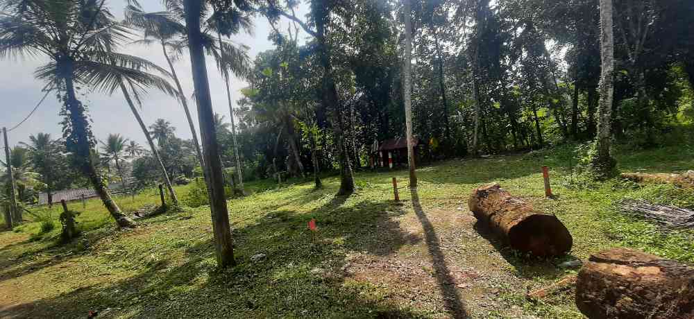 Land for sale in nittambuwa town