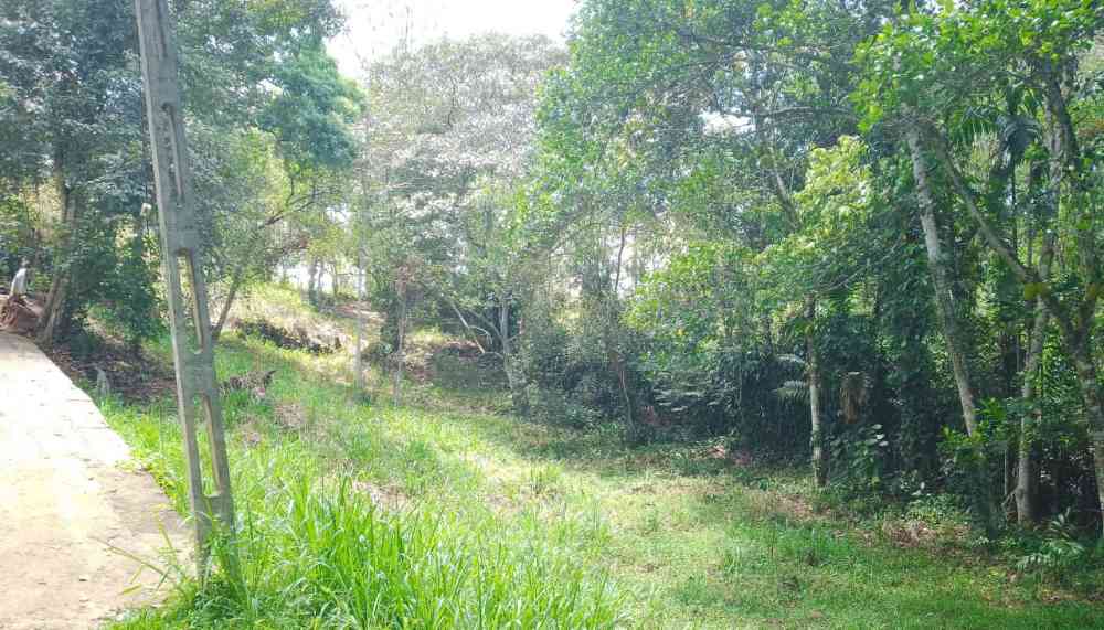 Land for sale in peradeniya