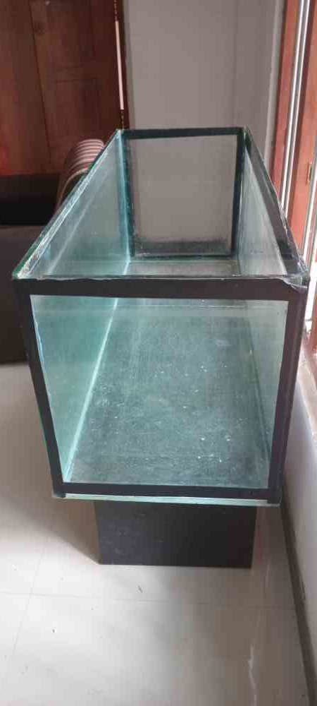 4 Feet fish tank for sale
