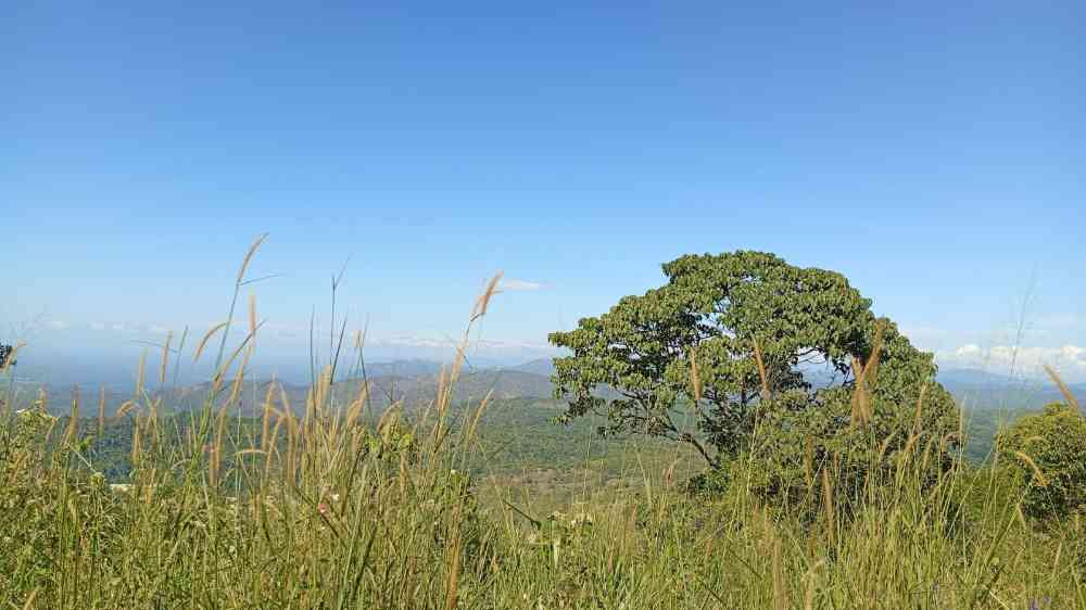 110 Perch scenic land in beragala