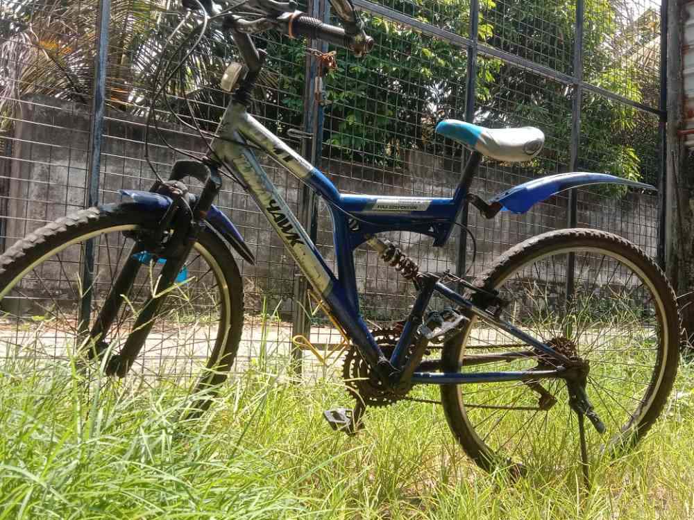 Tomahawk bicycle