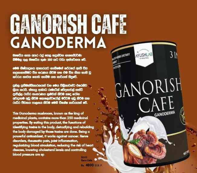 Gandroma 2in 1
