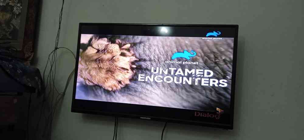 Led tv