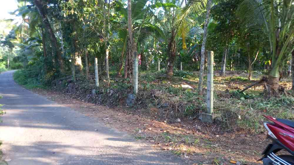 Land for sale in alawwa