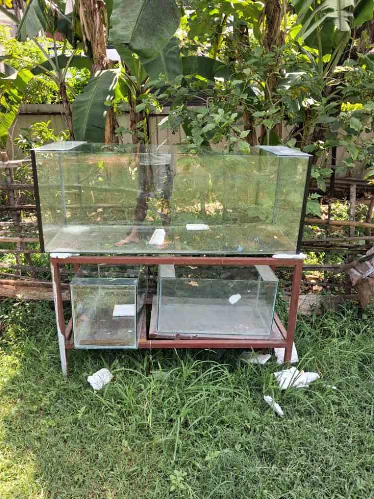 Fish tank for sale