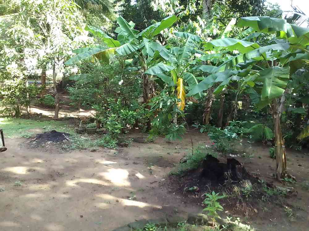 Land for sale in galnawa