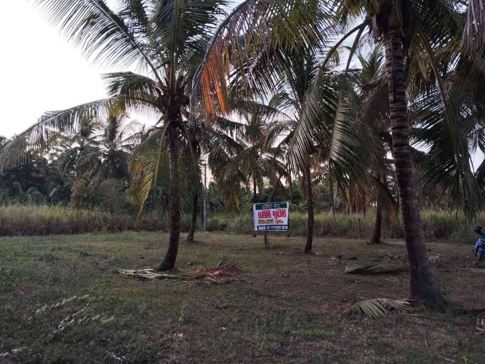 Residential land for sale in hettipola