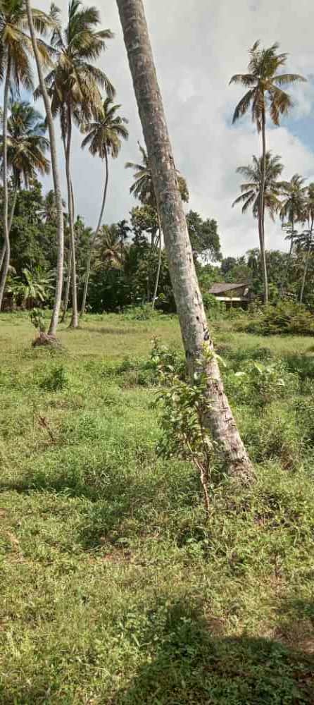 Valuable land for sale