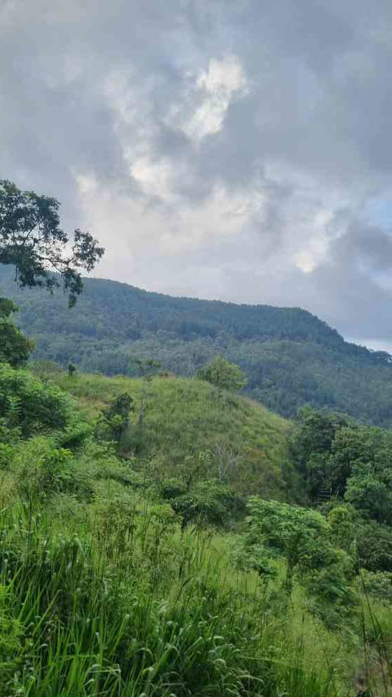 Land for sale in haputale