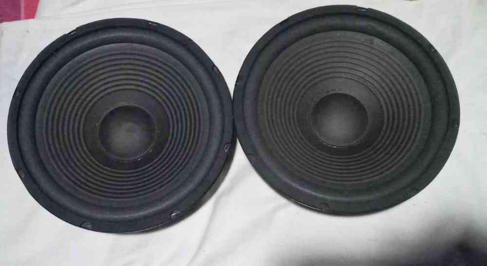 Speakers 10 inch