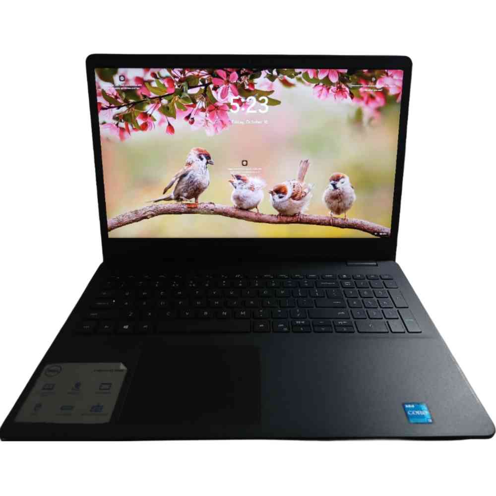 Dell laptop
