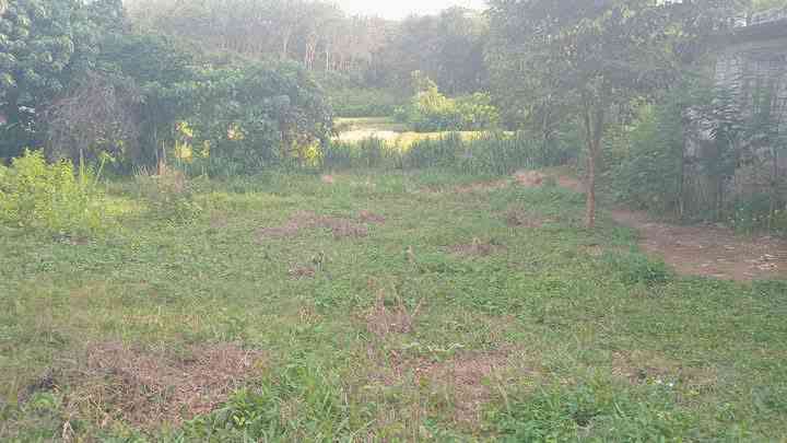 Land for sale in padukka