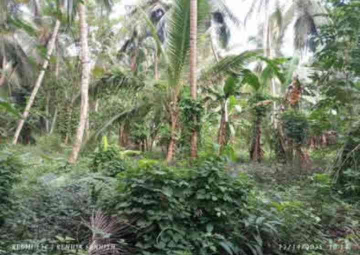 Land for sale