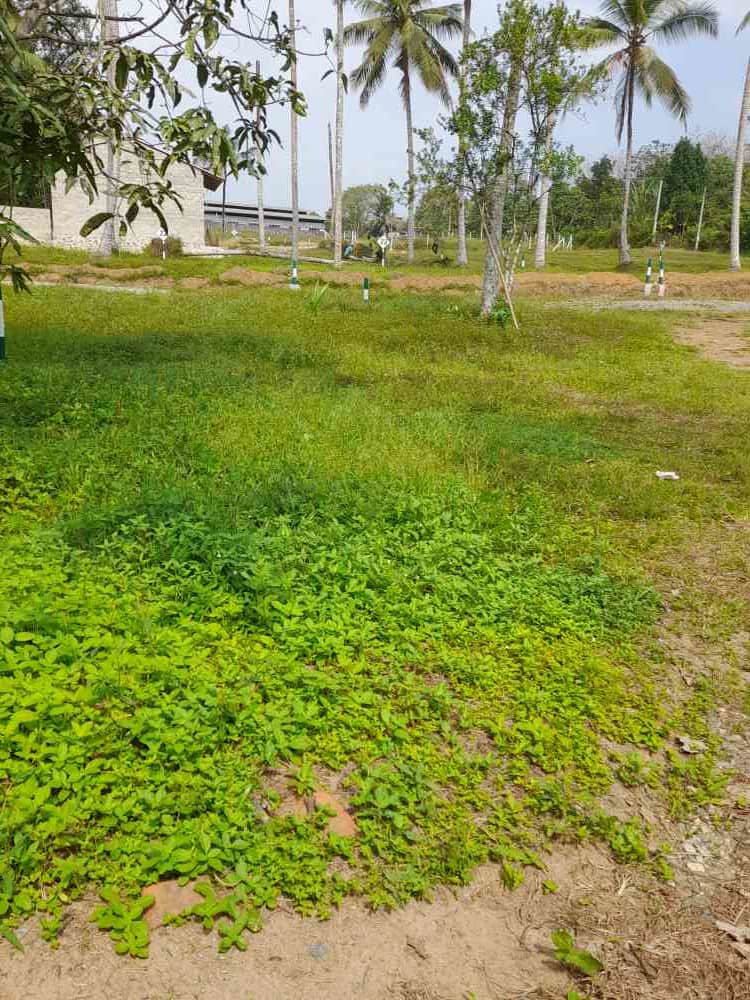 Land for sale in horana