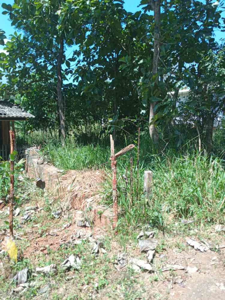 Land for sale in palapathwala