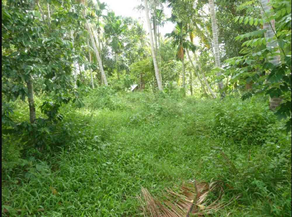 Land for sale in minuwangoda
