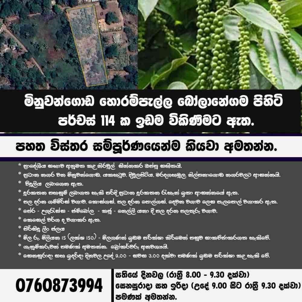 Land for sale in minuwangoda