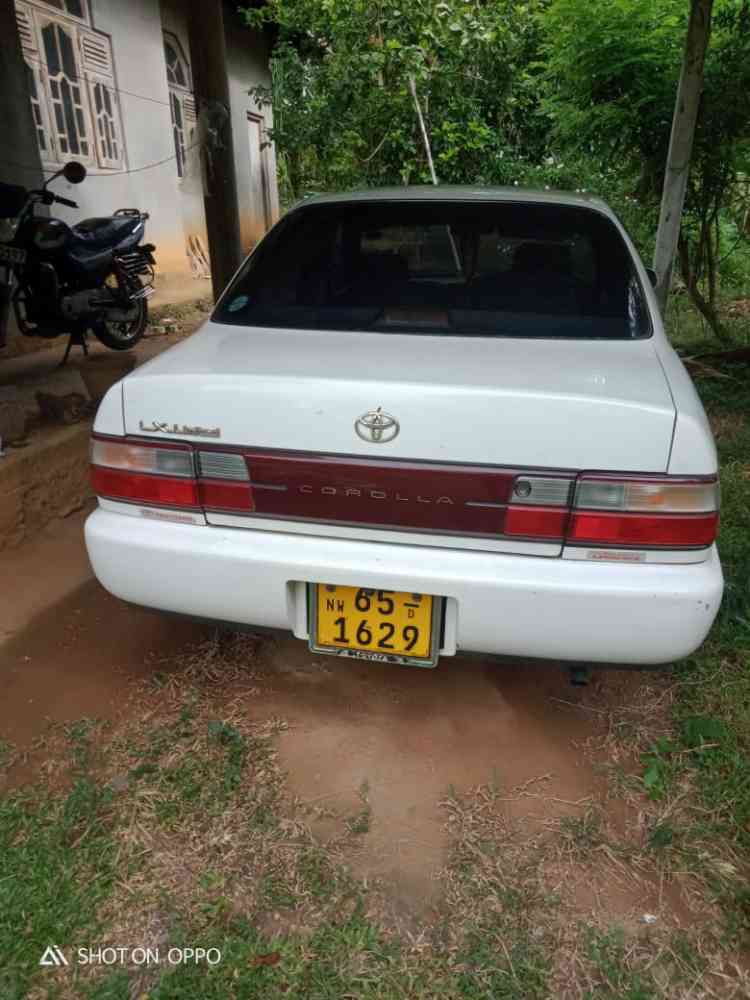 Toyota corolla