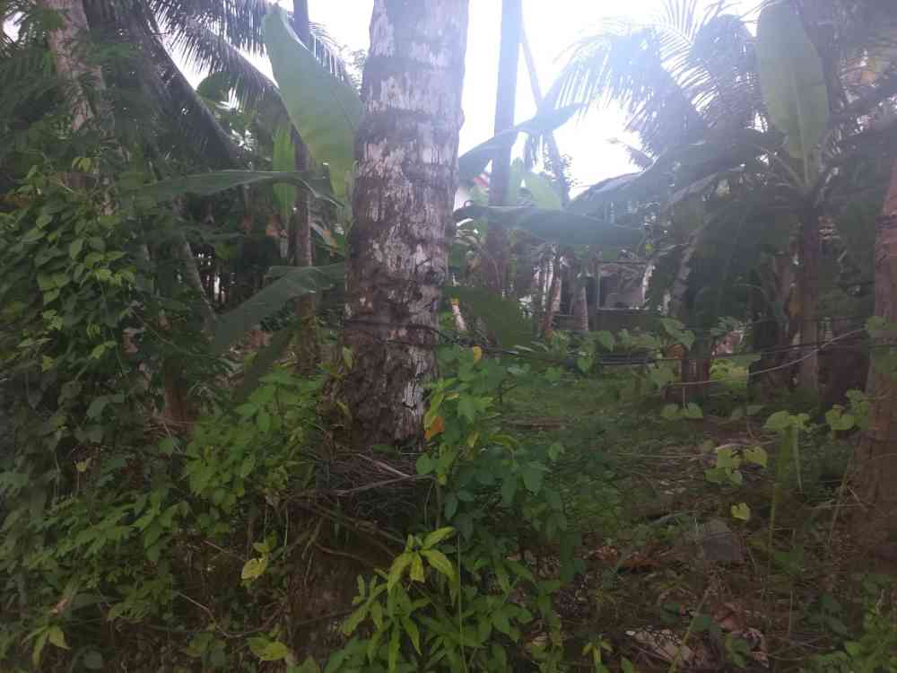 Land for sale in kaduwela