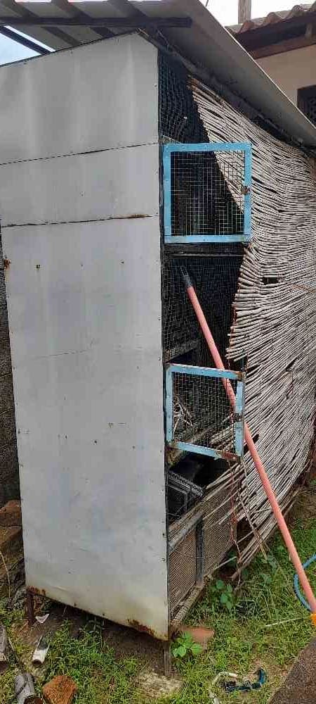 Used dog and bird cage