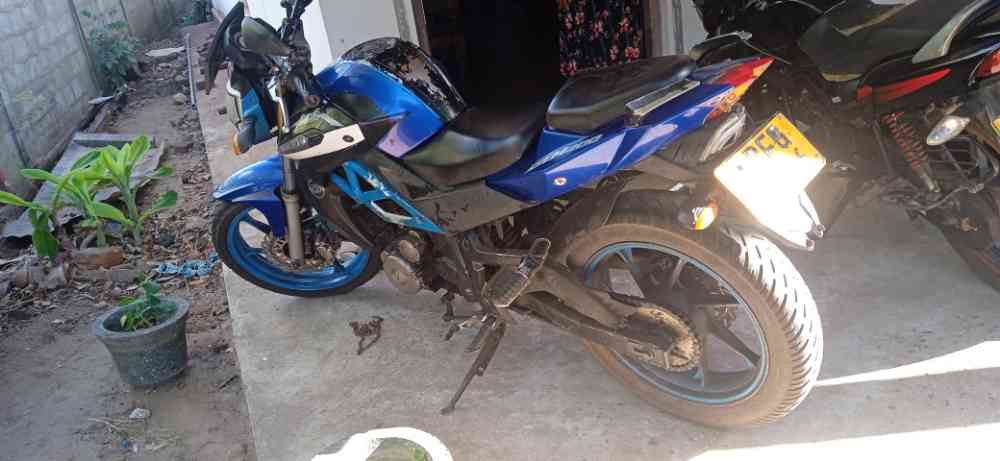 DZM 200