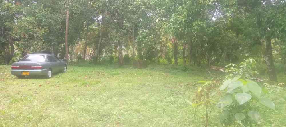 Land for sale in delgoda