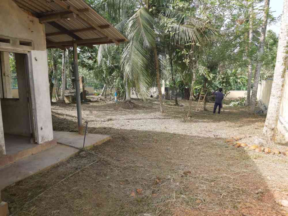 Land for sale In beruketiya homagama