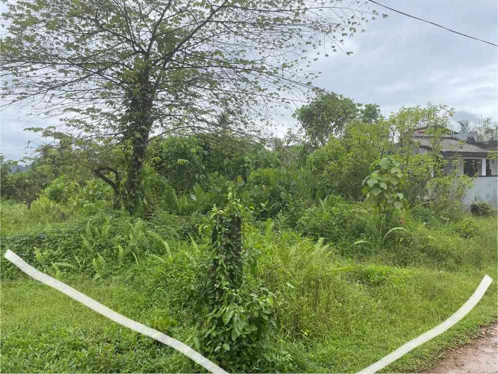 25 Perch land for sale near by kuruwita
