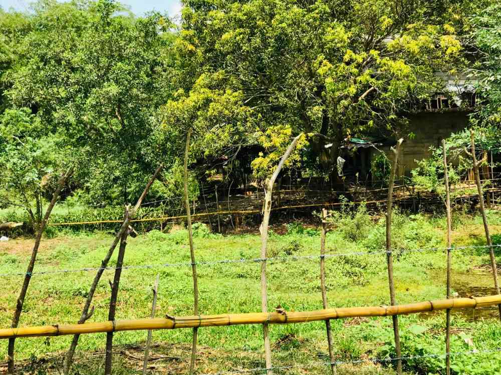 Land for sale in Ja-ela