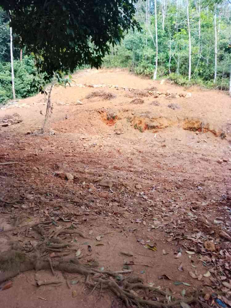 Land for sale in horana