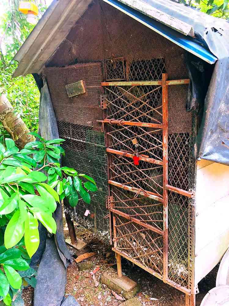 A cage that can be used by any animal