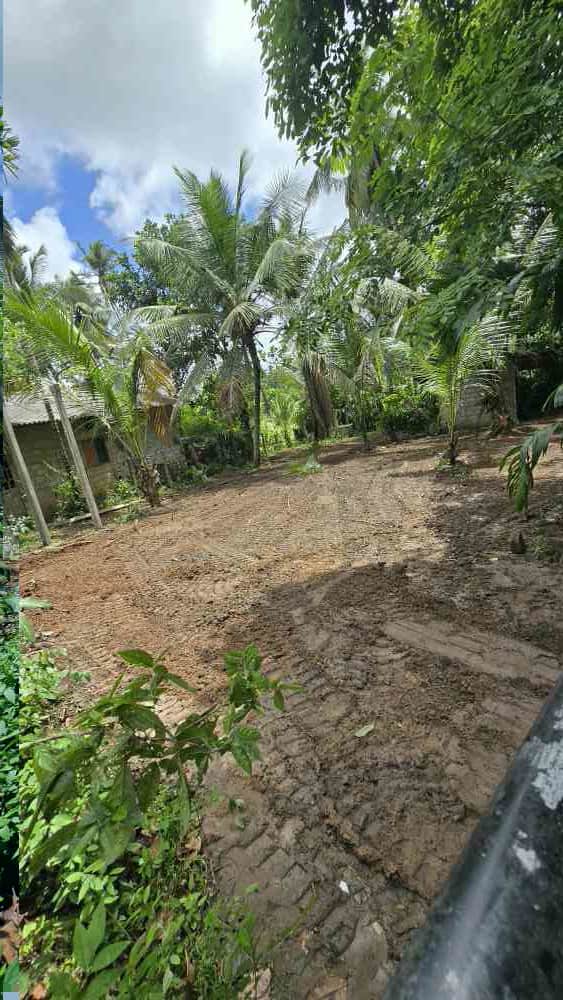 Land for sale