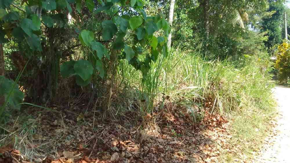 Land for sale in kegalle