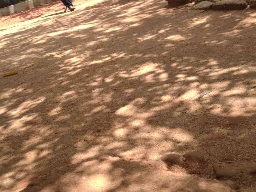 Land for sale in wellawaya