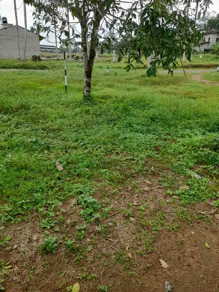 Land for sale bandaragama