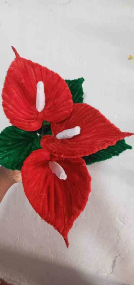 Anthurium flowers