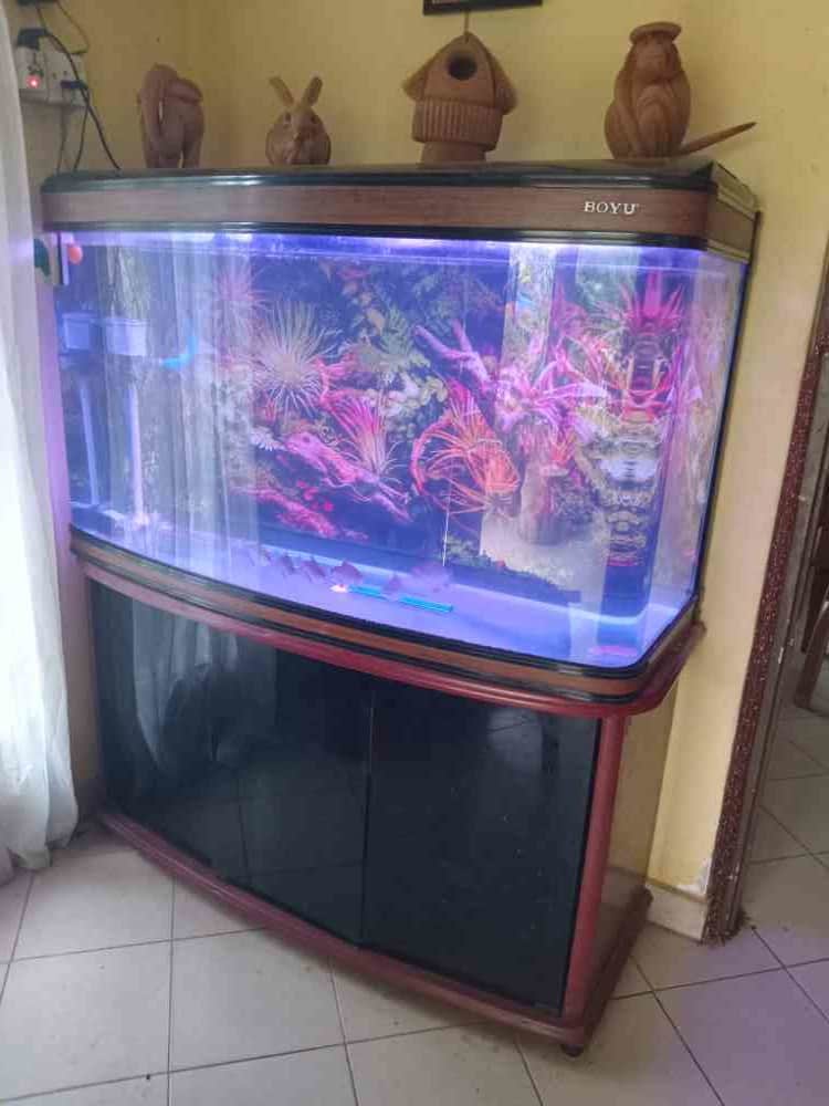 4 x 2 Boyu fish tank for sale