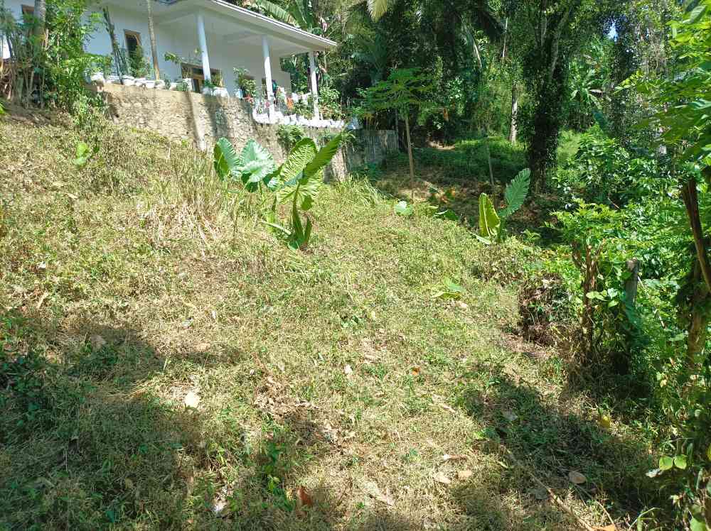 Land for sale in polgolla
