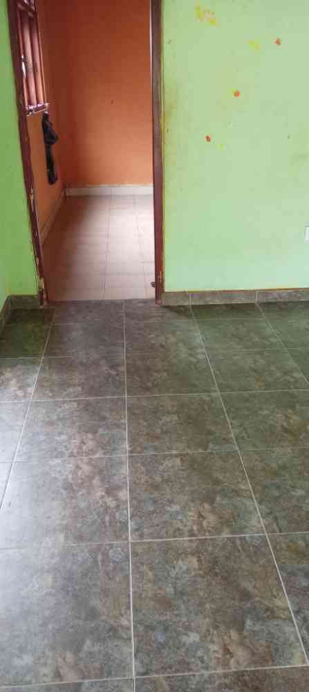 House for rent