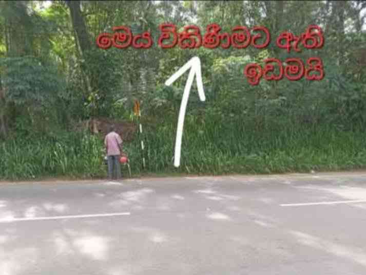 Land for sale