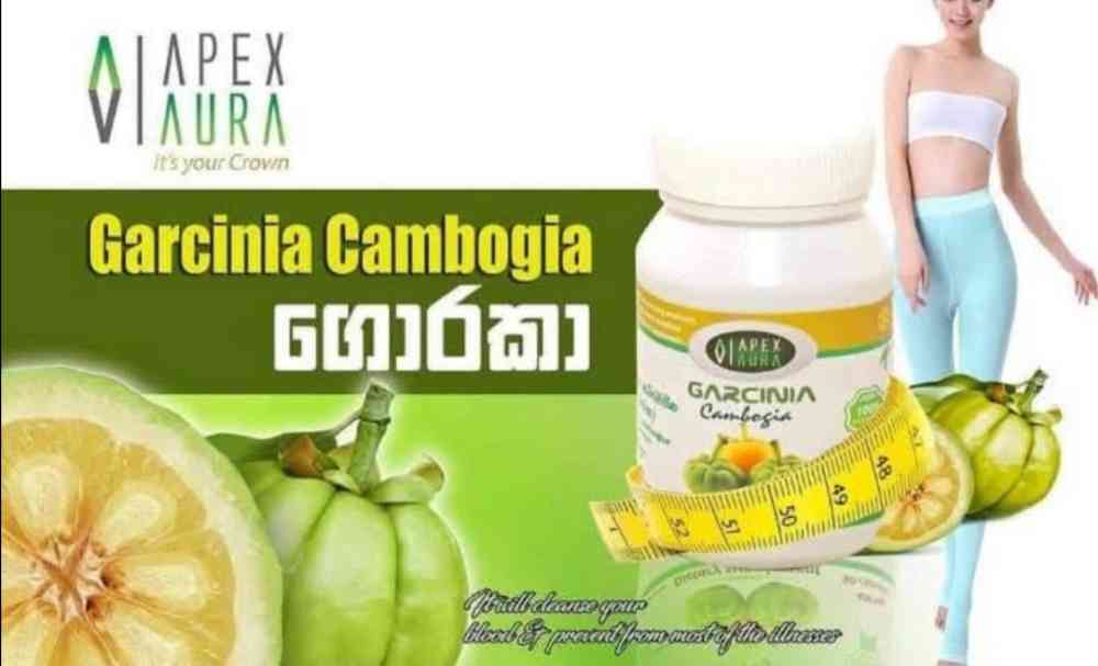 Garcinia supplement